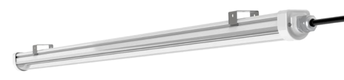 magna-grazil